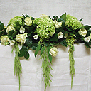 posy3